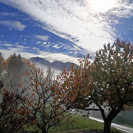 Gite Coeur De Haute-Savoie Viuz-en-Sallaz Exterior photo